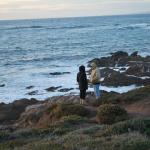 Cambria_0195 (November 05, 2011)
